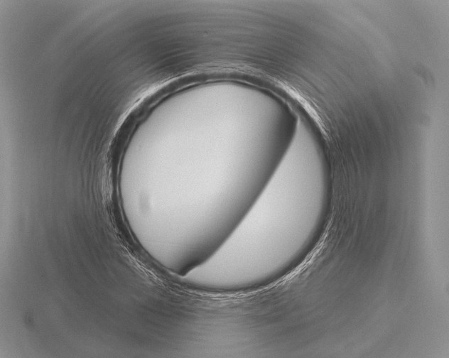 X0000115770973200912111103