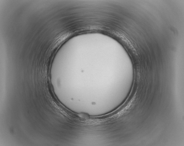 X0000115770977200912111103