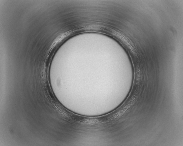 X0000115770978200912111103