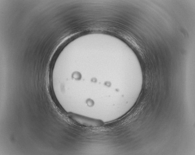 X0000115770984200912111103