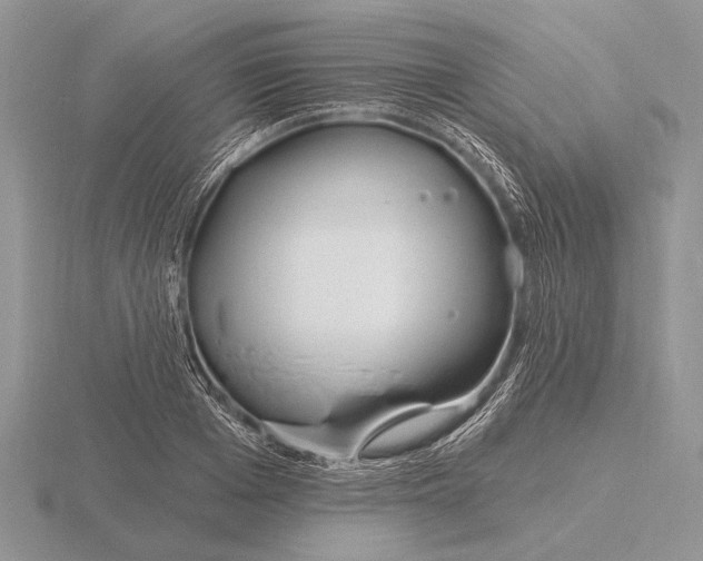 X0000115770985200912111103