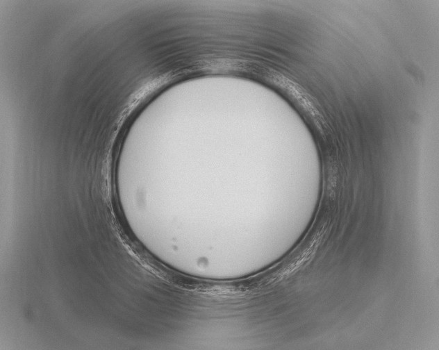 X0000115770986200912111103