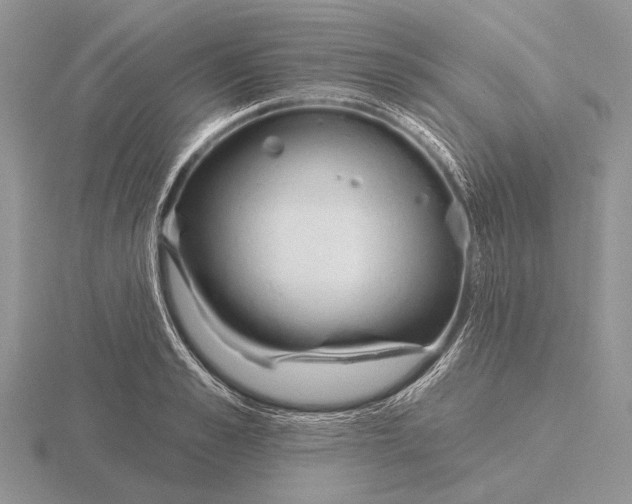 X0000115770989200912111103