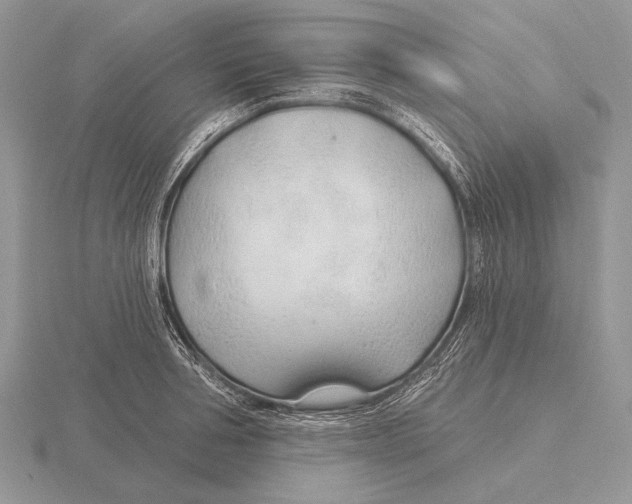 X0000115770994200912111103