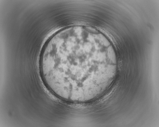 X0000115770995200912111103