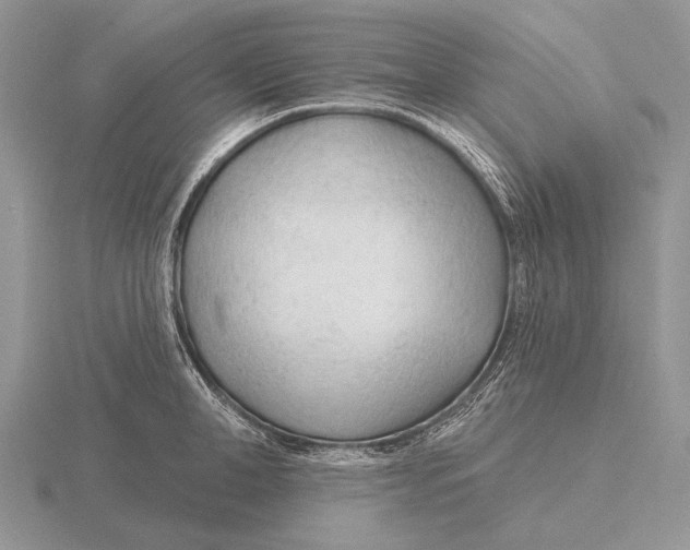 X0000115770998200912111102