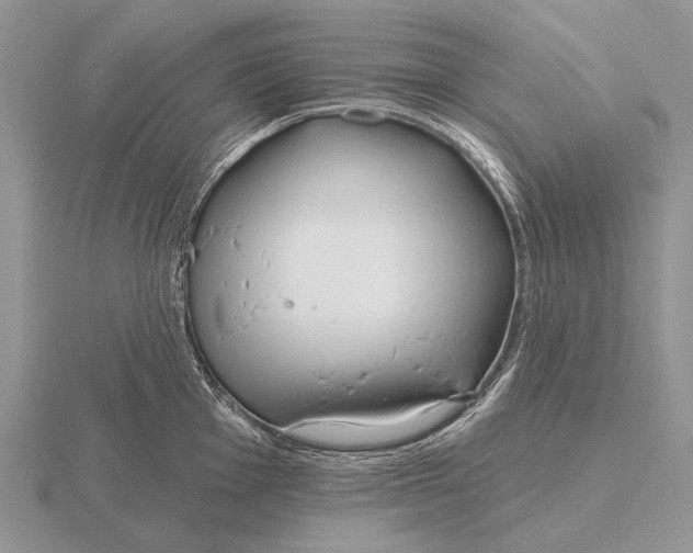 X0000115771001200912111102