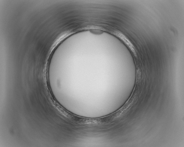 X0000115771002200912111102