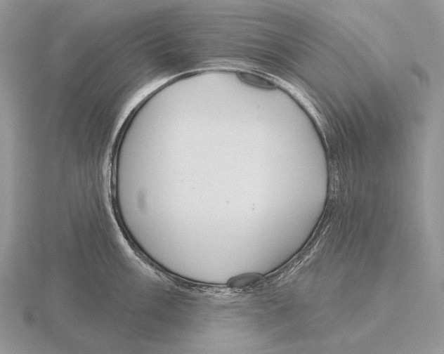 X0000115771003200912111102