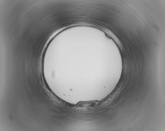 X0000115771004200912111102