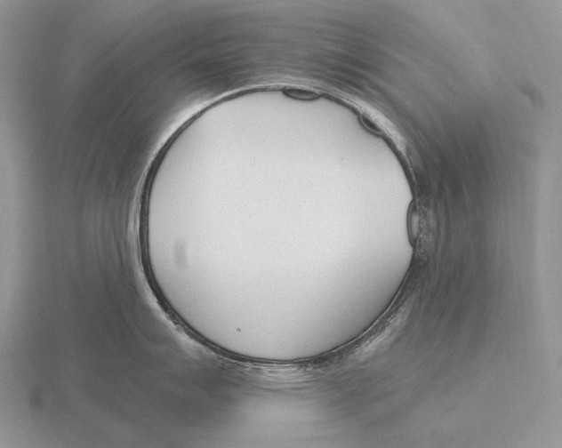 X0000115771007200912111102