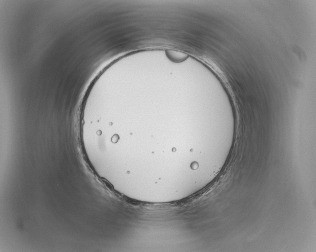 X0000115771008200912111102