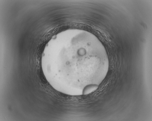 X0000115771013200912111102