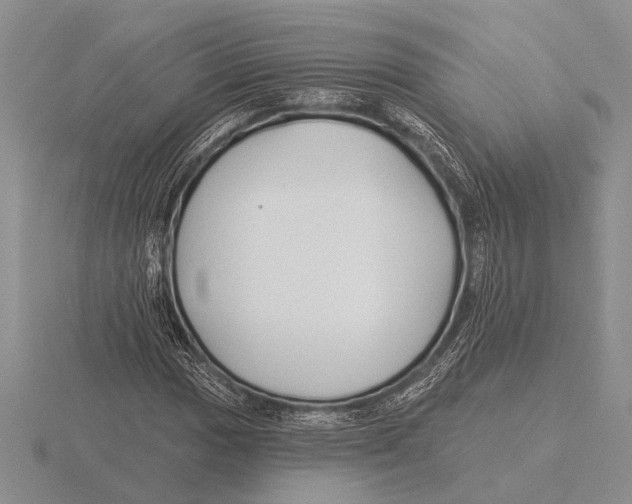 X0000115771017200912111102