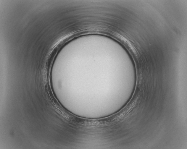 X0000115771019200912111102