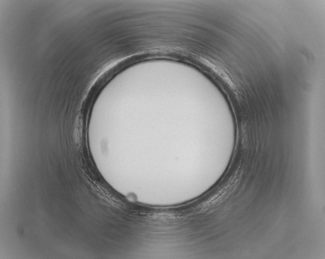 X0000115771021200912111102