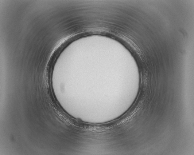 X0000115771022200912111102