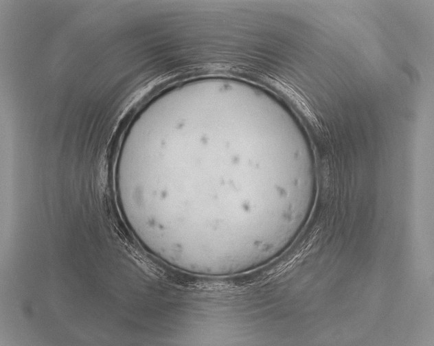 X0000115771023200912111102