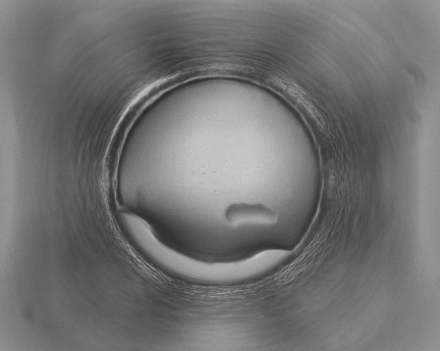 X0000115771024200912111102