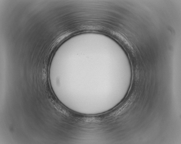 X0000115771025200912111102