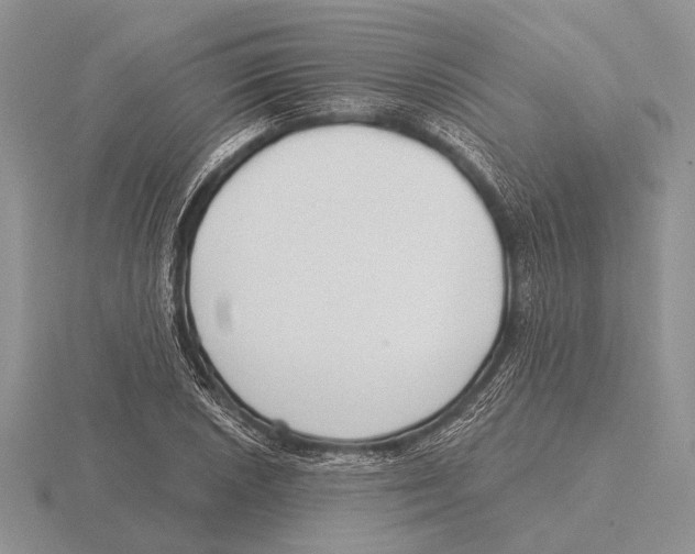 X0000115771026200912111102