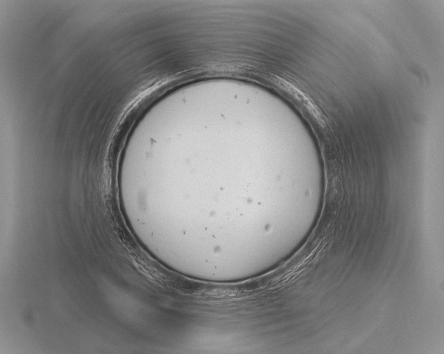 X0000115771027200912111102