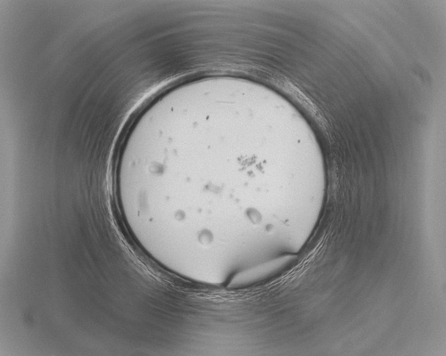 X0000115771028200912111102