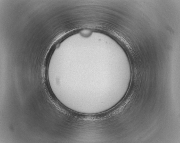 X0000115771029200912111102