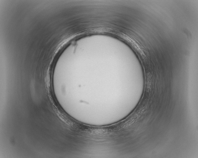 X0000115771031200912111102