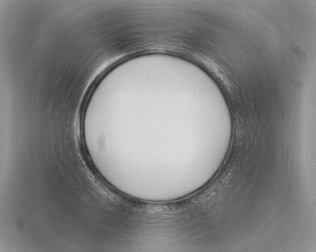 X0000115771032200912111102