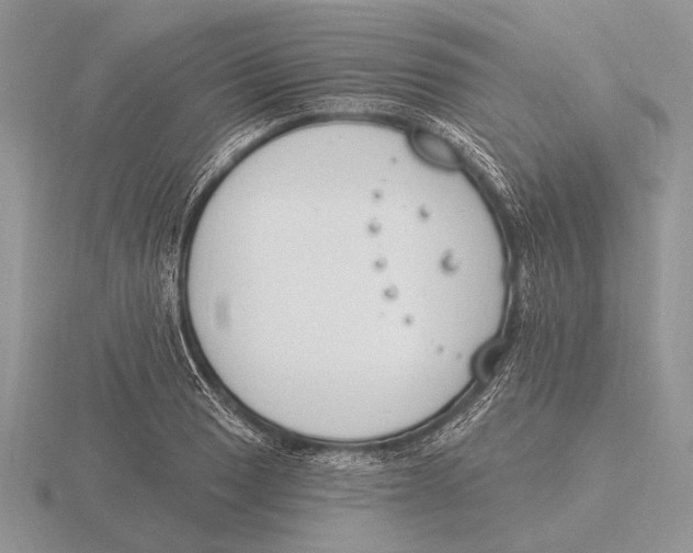 X0000115771033200912111102