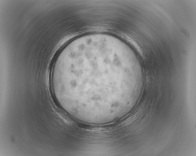 X0000115771035200912111102