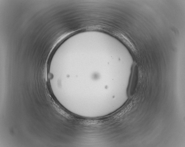 X0000115771036200912111102