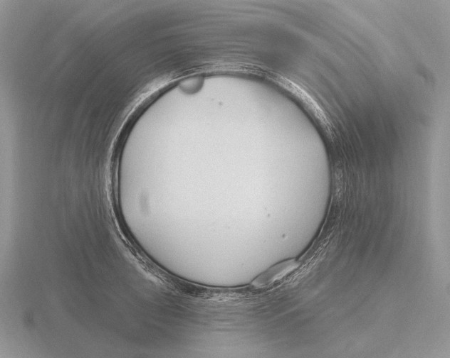 X0000115771043200912111102