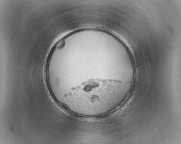 X0000115771045200912111102