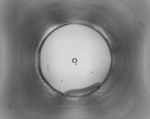 X0000115771048200912111102