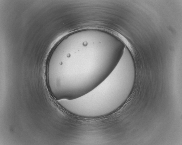 X0000115771051200912111102