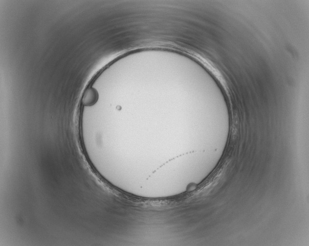 X0000115771053200912111102