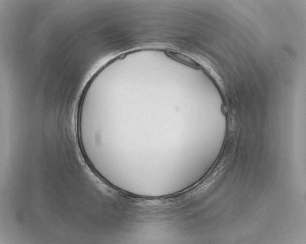 X0000115771054200912111102