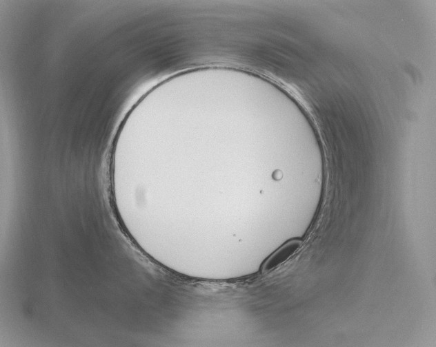 X0000115771056200912111102