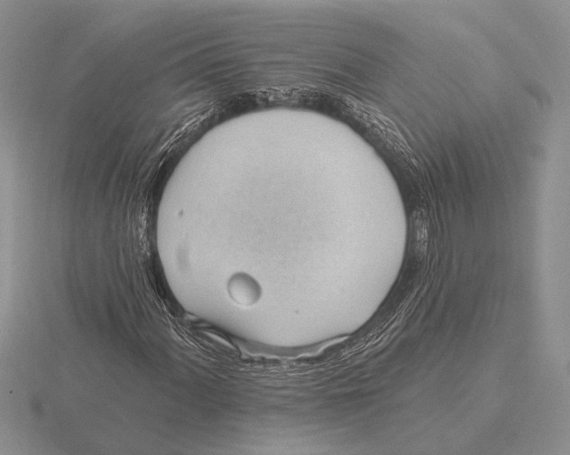 X0000115771060200912111102