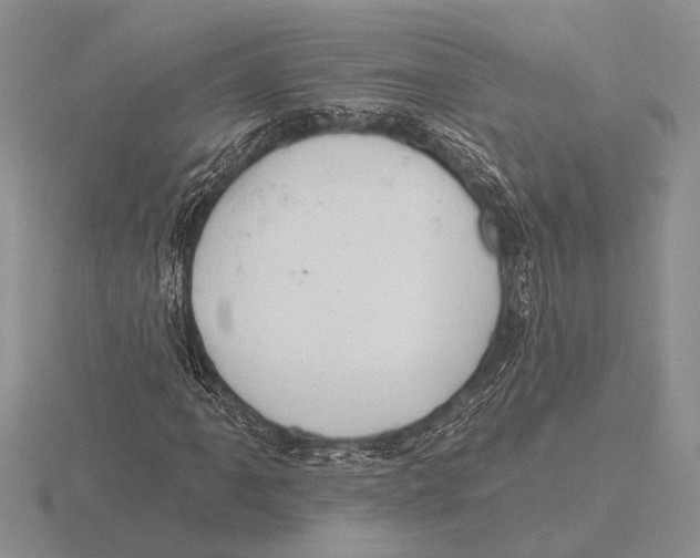 X0000115771061200912111102