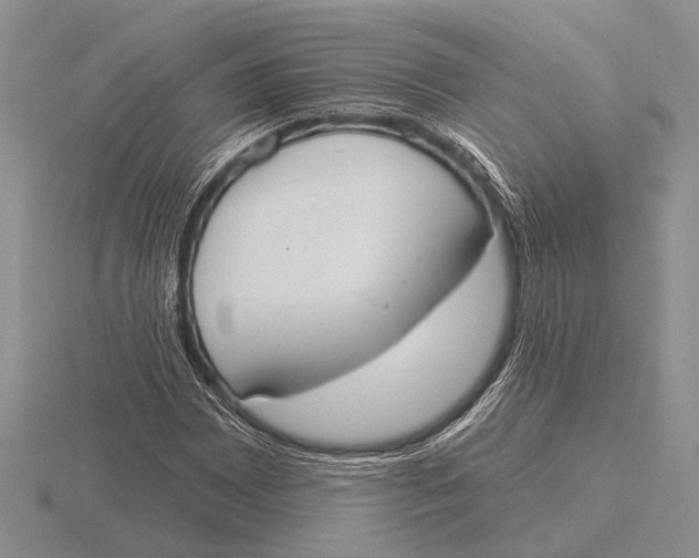 X0000115771065200912111102