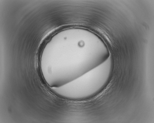 X0000115771069200912111102