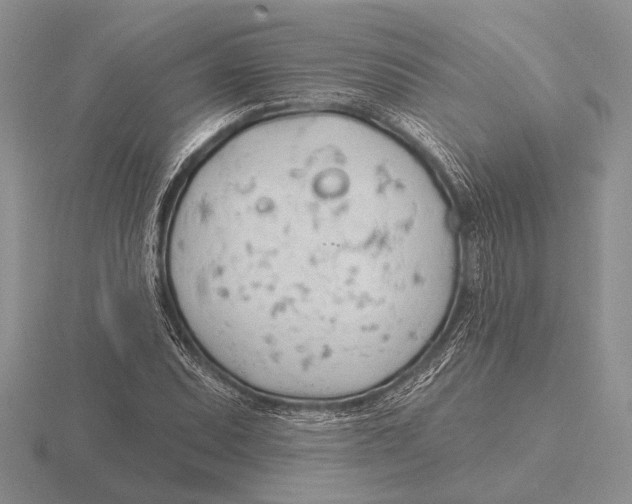 X0000115771071200912111102