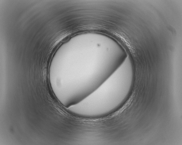 X0000115771073200912111102