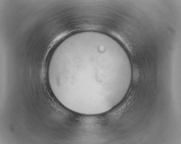 X0000115771074200912111102