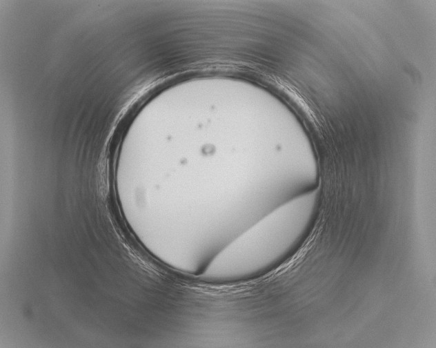 X0000115771075200912111101