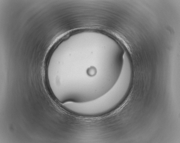 X0000115771077200912111101