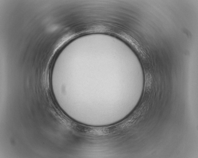 X0000115771078200912111101